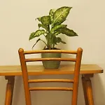 Haeuschen Im Ortskern Holiday home *