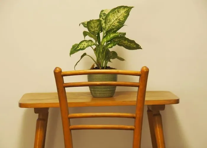 Haeuschen Im Ortskern 別荘 *